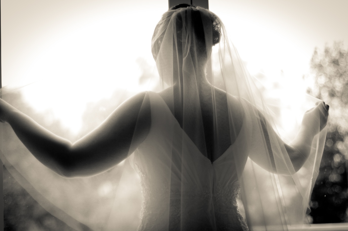 Rebecca Inns Photography